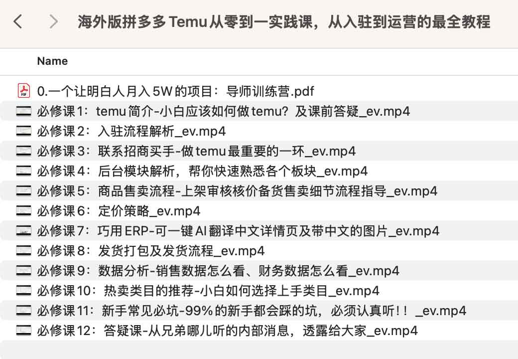 【跨境电商实战】海外版拼多多Temu从零到一实践课插图