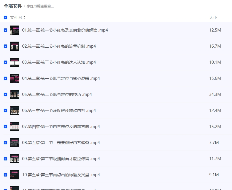 小红书博主爆粉变现课程插图 小红书博主爆粉变现课程插图