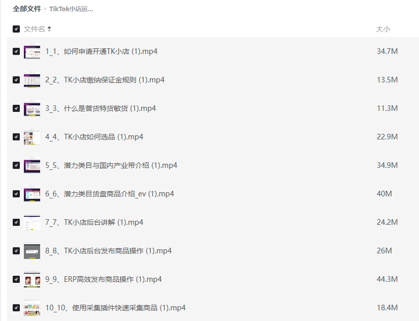 TikTok小店运营出单课插图 TikTok小店运营出单课插图