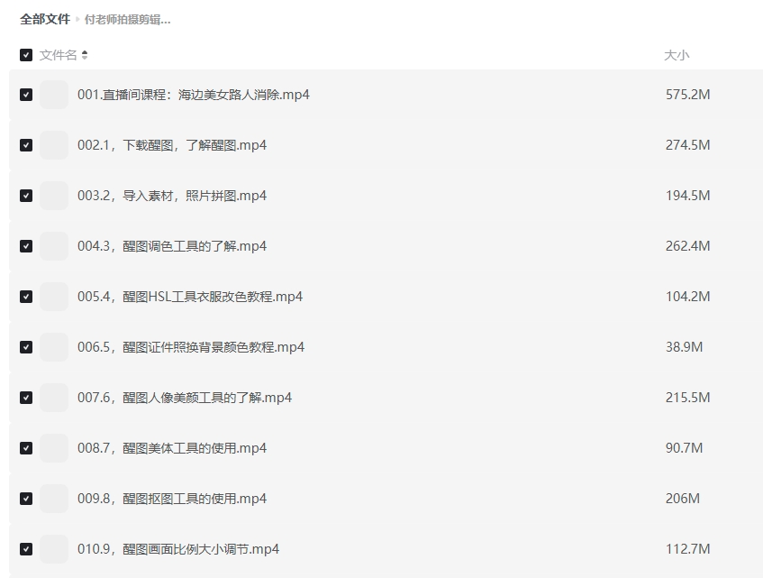 付老师拍摄剪辑修图AI全套课程插图 付老师拍摄剪辑修图AI全套课程插图