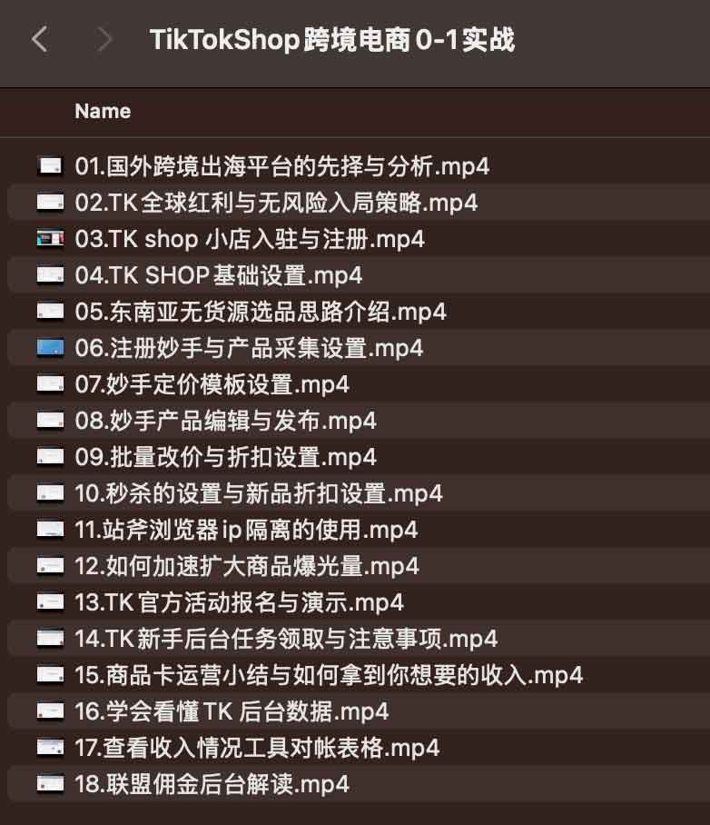 TikTokShop跨境电商0-1实战插图 TikTokShop跨境电商0-1实战插图