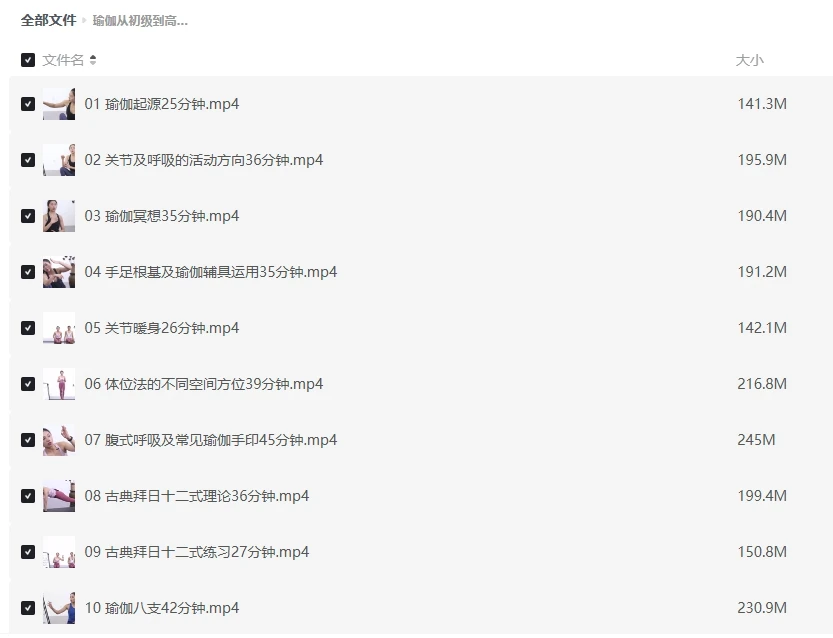 瑜伽从初级到高级(100课)课程插图 瑜伽从初级到高级(100课)课程插图