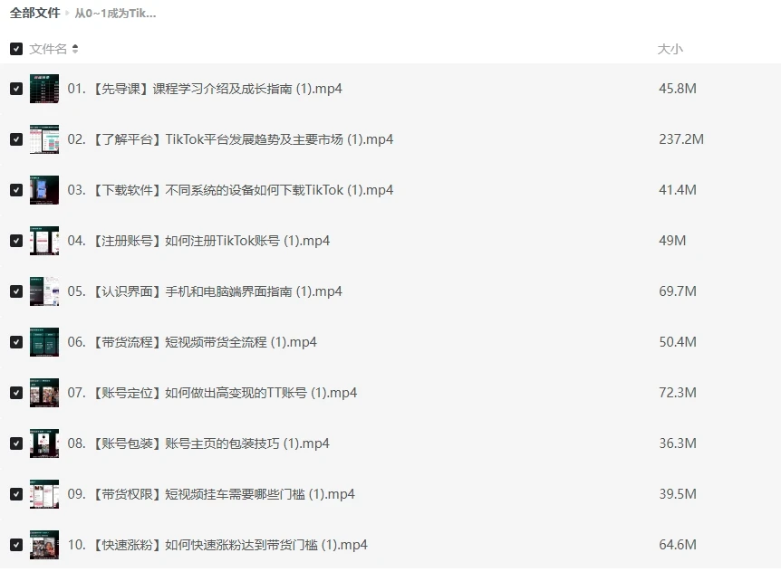 从0~1成为TikTok达人运营实操插图 从0~1成为TikTok达人运营实操插图