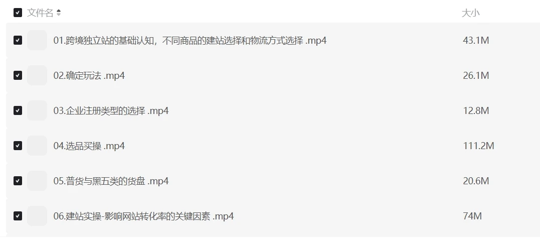 Aron跨境电商独立站全域营销课程插图 Aron跨境电商独立站全域营销课程插图