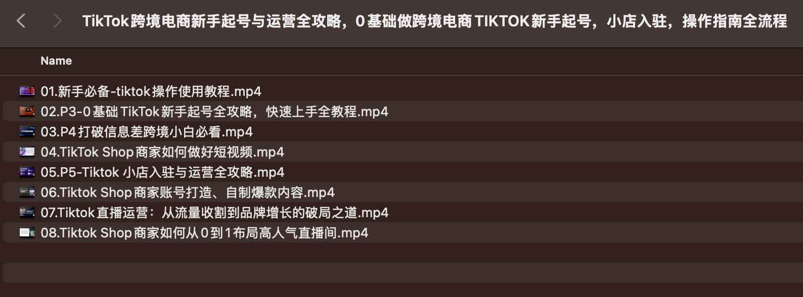 TikTok跨境电商新手起号与运营全攻略课程插图 TikTok跨境电商新手起号与运营全攻略课程插图