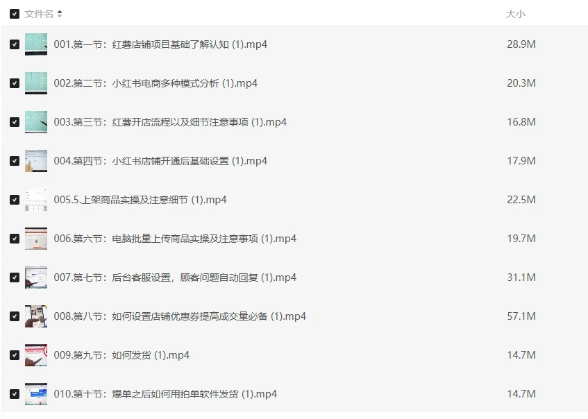 小红书电商高级课程概述,新手小白必学方法,实操教学+案例分析插图 小红书电商高级课程概述,新手小白必学方法,实操教学+案例分析插图
