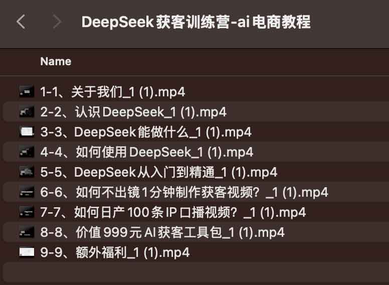 DeepSeek获客训练营-AI电商教程插图 DeepSeek获客训练营-AI电商教程插图