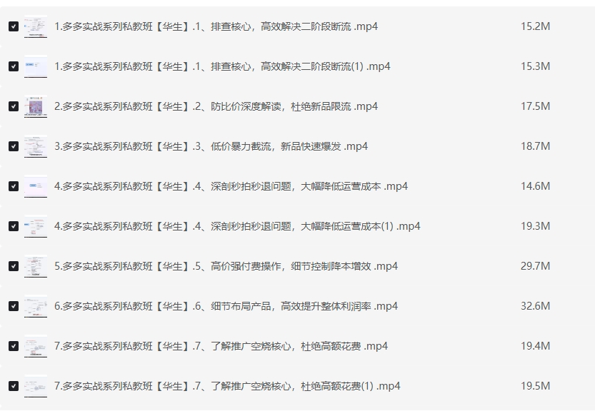 2025年拼多多实战系列私教班课程插图 2025年拼多多实战系列私教班课程插图