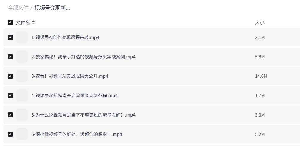 视频号变现新风口AI爆款创作课程插图