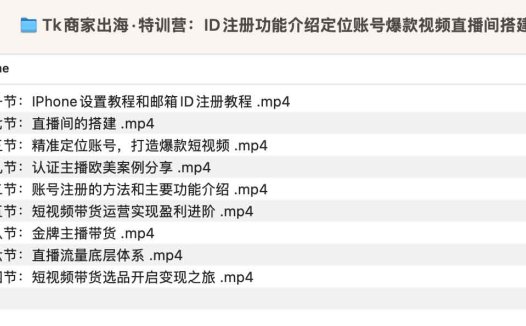 【Tk商家出海】Tk商家出海·特训营