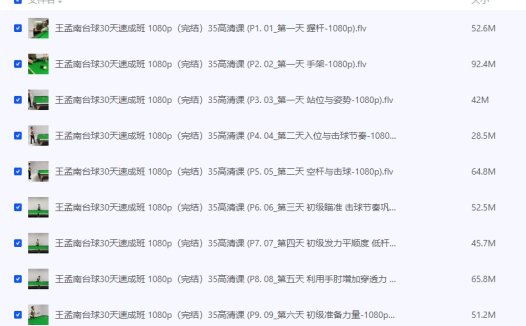 【台球速成】王孟南《台球30天速成班》