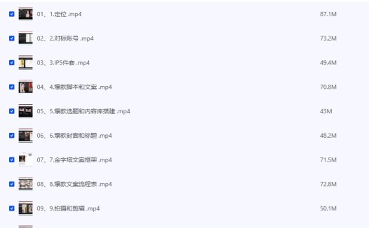 小红书商业IP变现私教课程