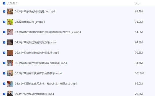 精品凉拌菜系列热卤系列课程